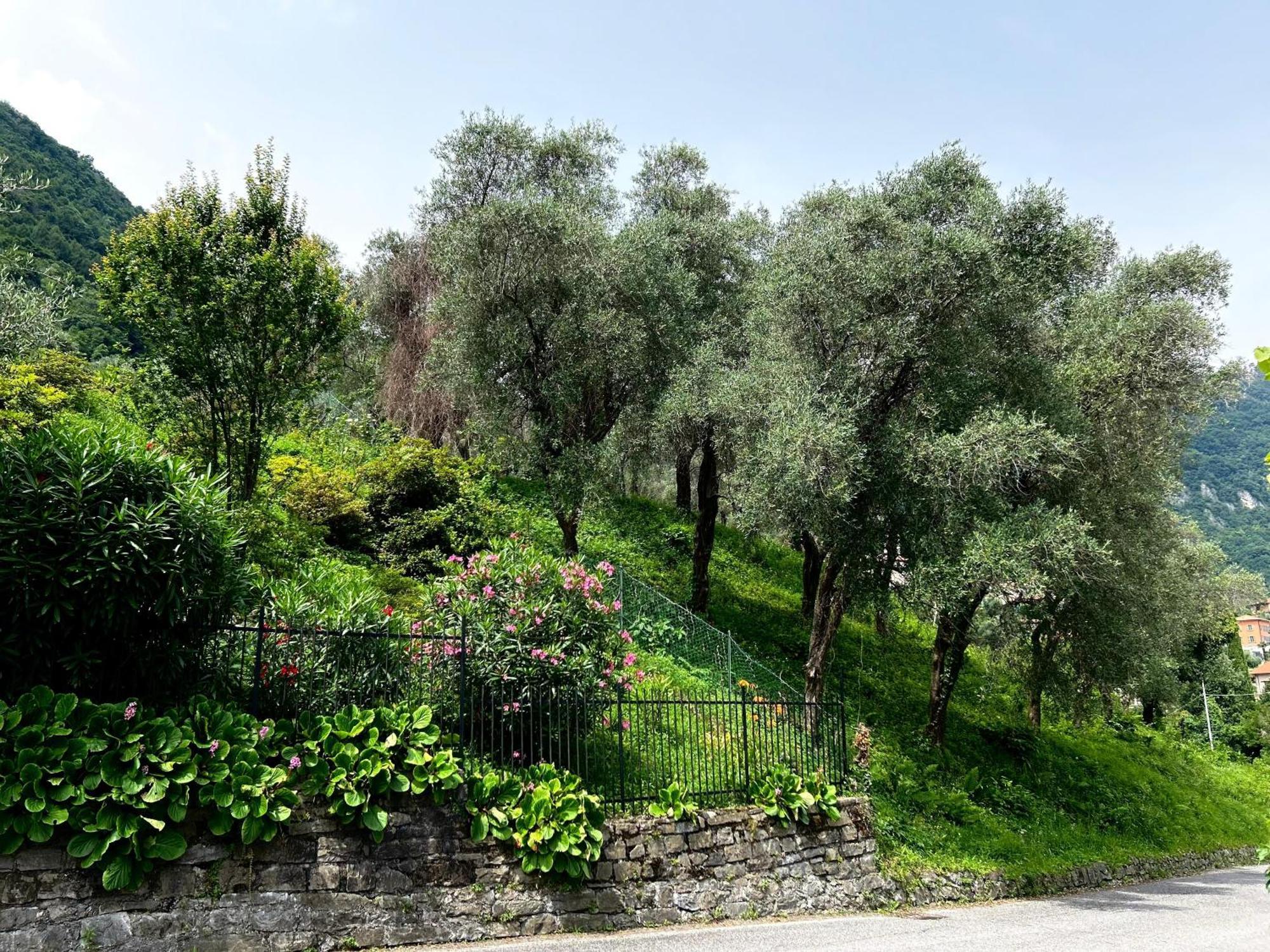 Lakeview Bellagio Apartment Limonta Luaran gambar